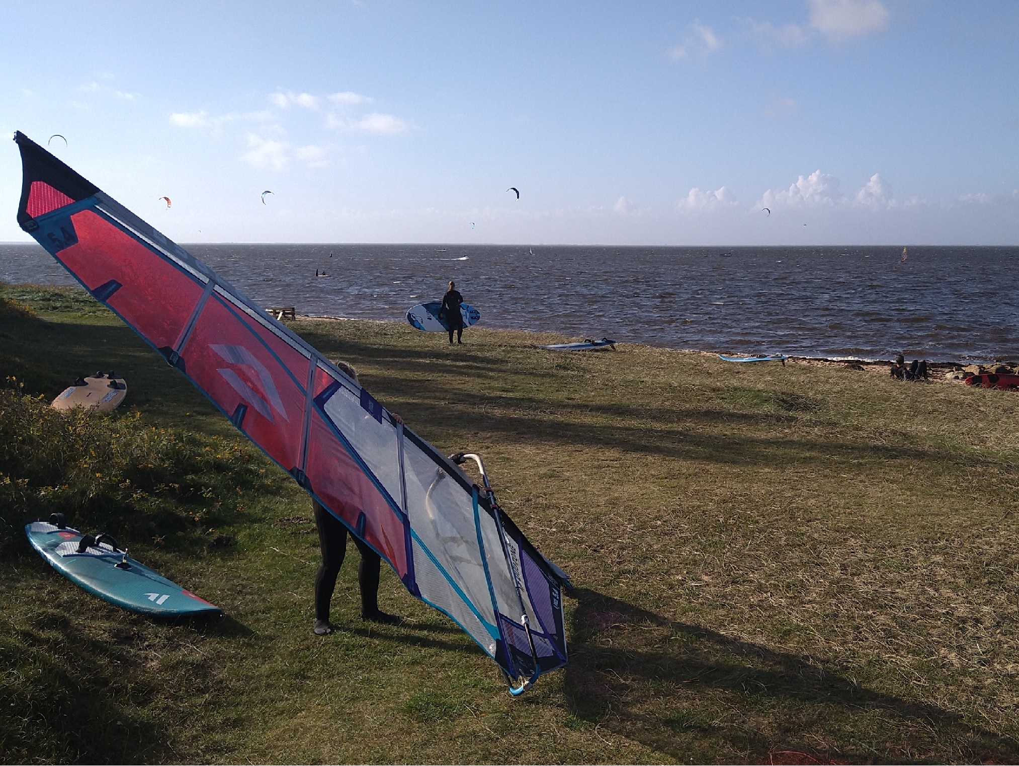 Herbstfahrt 2024 zum Ringkøbing Fjord