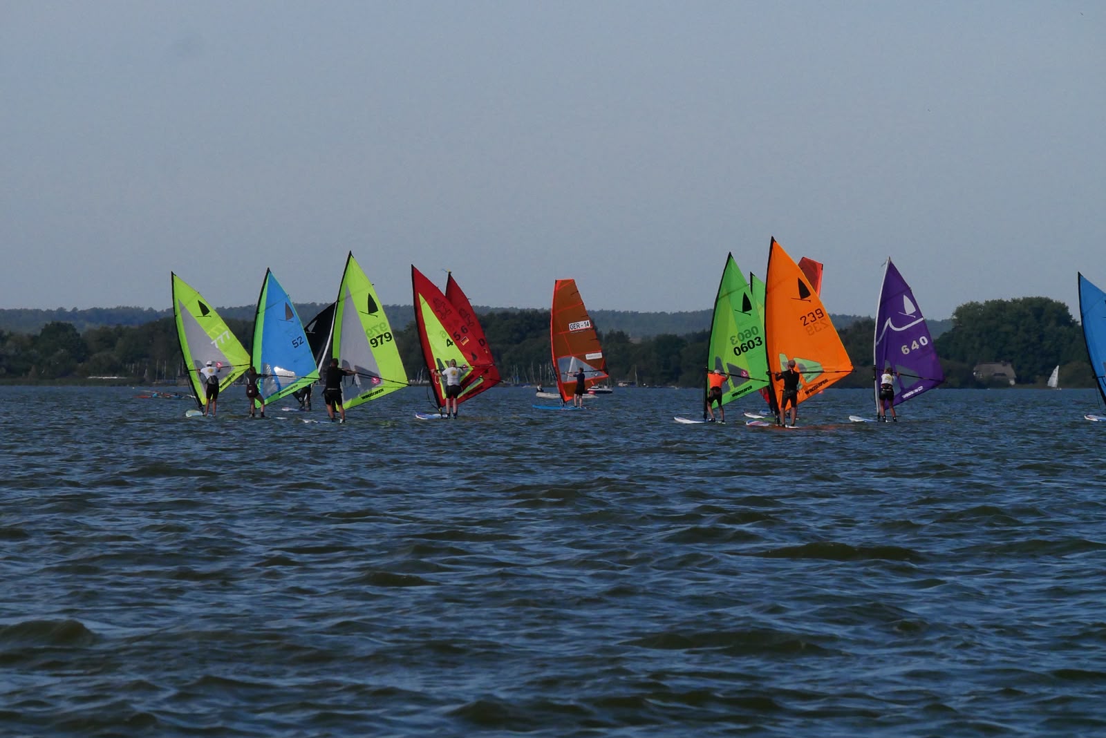 Erfolgreicher Saisonabschluss am Dümmer See